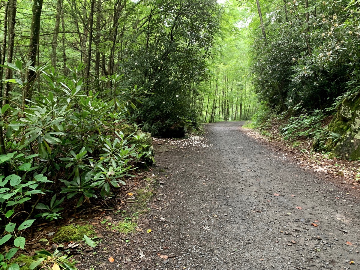 Exploring Damascus & Biking the Virginia Creeper Trail Outdoor More